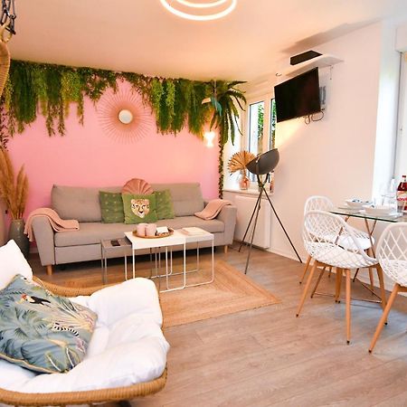 Appartamento Le Nid Cosy - En plein coeur de Sélestat Esterno foto