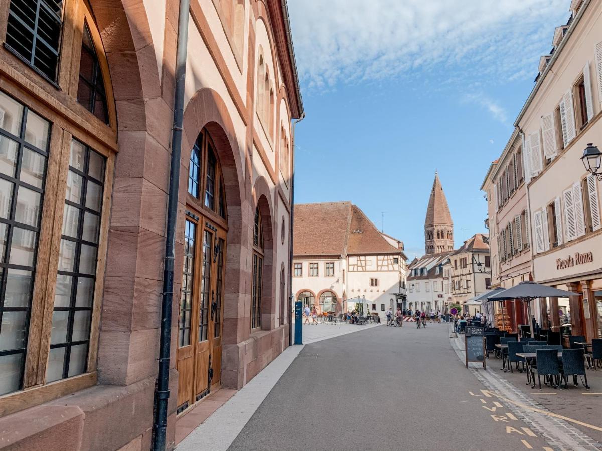 Appartamento Le Nid Cosy - En plein coeur de Sélestat Esterno foto