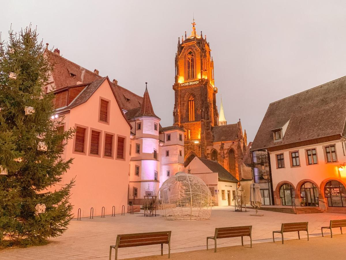 Appartamento Le Nid Cosy - En plein coeur de Sélestat Esterno foto